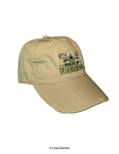 Product picture of Khaki hat